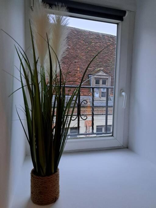 קמברה Confortable Studio Renove מראה חיצוני תמונה